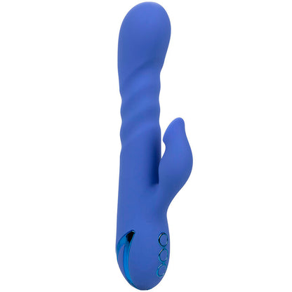CALEXOTICS - LA LOVE VIBRATEUR & SUCCION BLEU PAR CALIFORNIA DREAMING