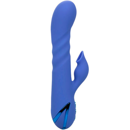 CALEXOTICS - LA LOVE VIBRATEUR & SUCCION BLEU PAR CALIFORNIA DREAMING