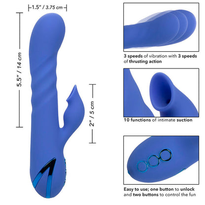 CALEXOTICS - LA LOVE VIBRATEUR & SUCCION BLEU PAR CALIFORNIA DREAMING