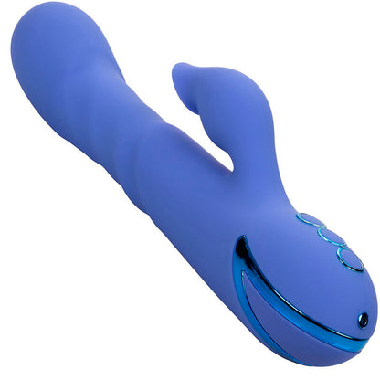 CALEXOTICS - LA LOVE VIBRATEUR & SUCCION BLEU PAR CALIFORNIA DREAMING