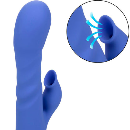 CALEXOTICS - LA LOVE VIBRATEUR & SUCCION BLEU PAR CALIFORNIA DREAMING
